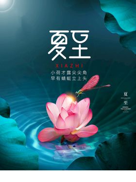 夏至刷屏广告二十四节气微信长图