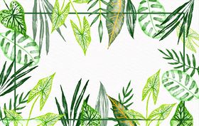线条矢量手绘花草植物