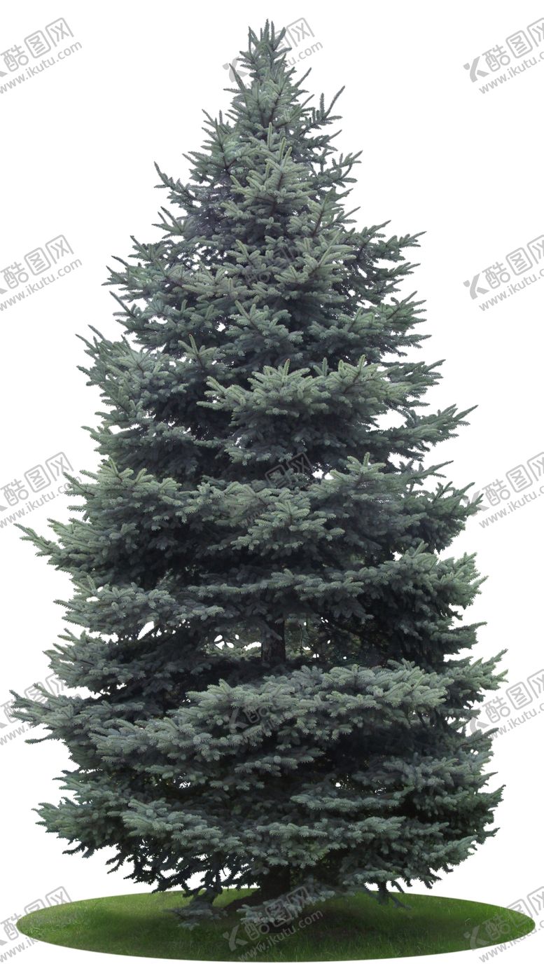 编号：80127009241927381827【酷图网】源文件下载-免扣植物树木素材图片