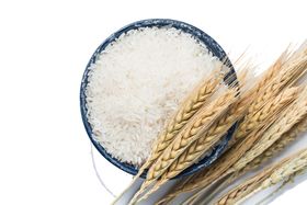 大米麦穗食堂文化海报素材