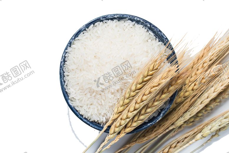 编号：71269610300700476314【酷图网】源文件下载-大米麦穗食堂文化海报素材