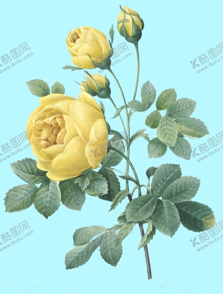 编号：22865709120614094348【酷图网】源文件下载-手绘花