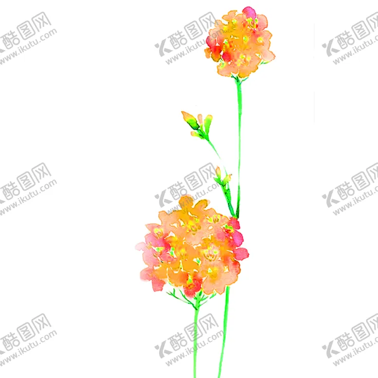 编号：99113706172122049447【酷图网】源文件下载-花素材