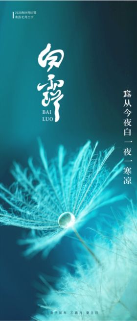 白露