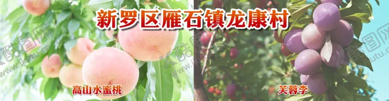 编号：73099406291040524145【酷图网】源文件下载-水蜜桃和芙蓉李