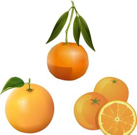 橙子橘子