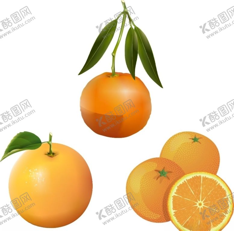编号：20166009190933078552【酷图网】源文件下载-橘子橙子