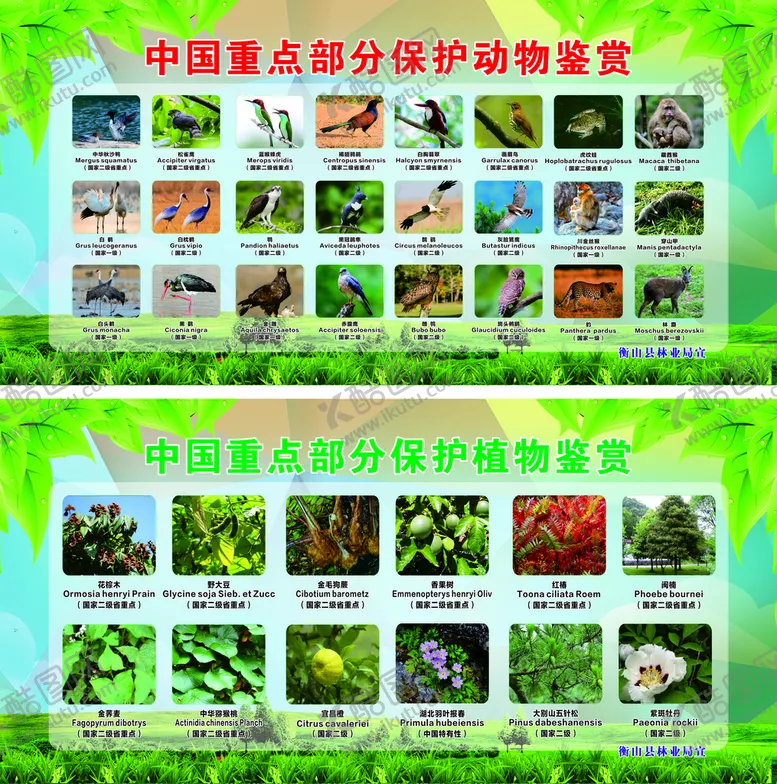 编号：19924310162347585904【酷图网】源文件下载-国家重点保护动植物鉴赏