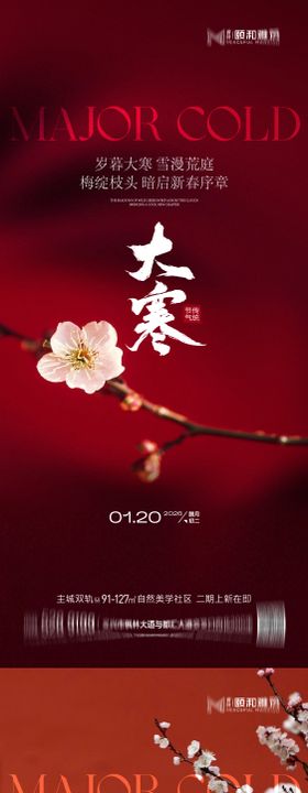 大寒节气节日海报雪梅花腊梅