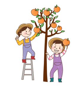 摘水果的小孩
