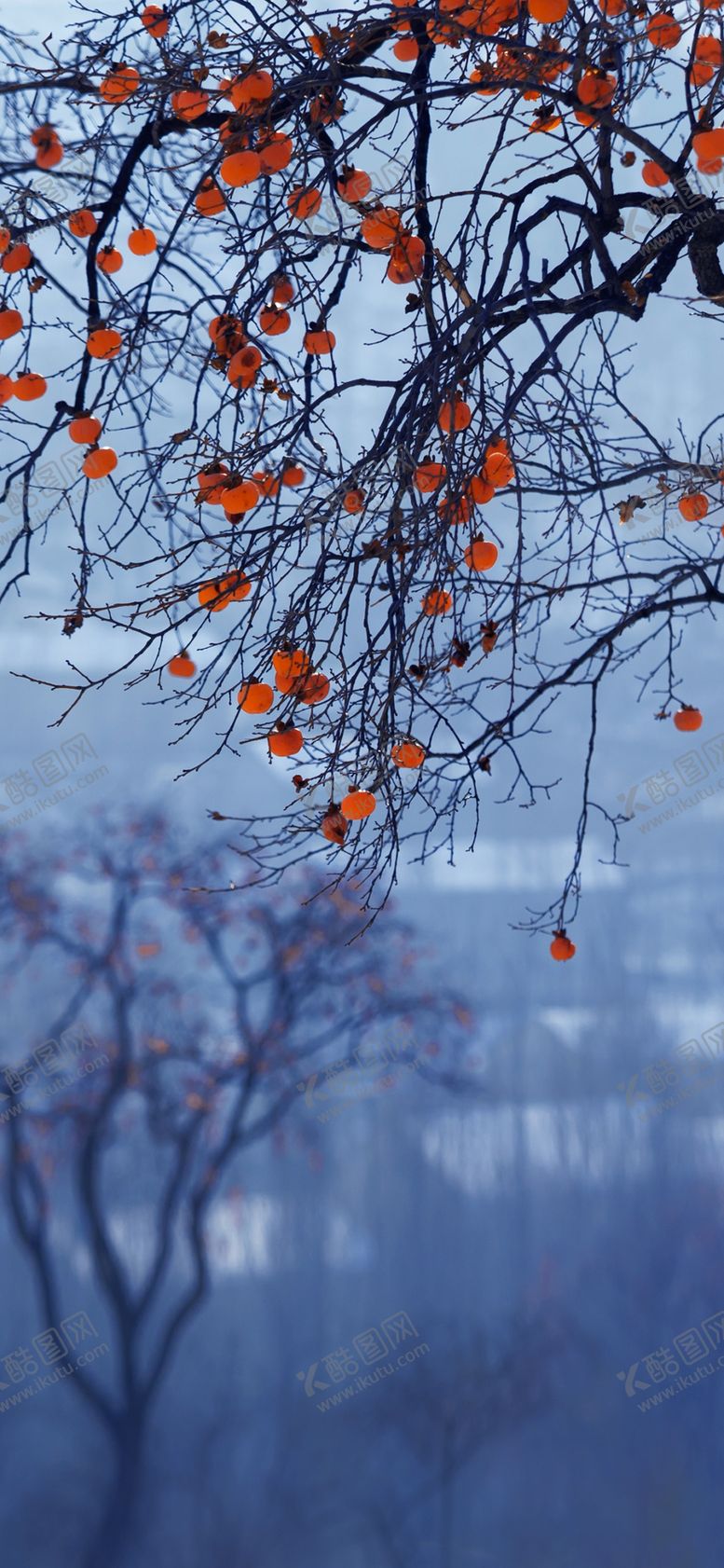 编号：57766609272203594745【酷图网】源文件下载-手机壁纸