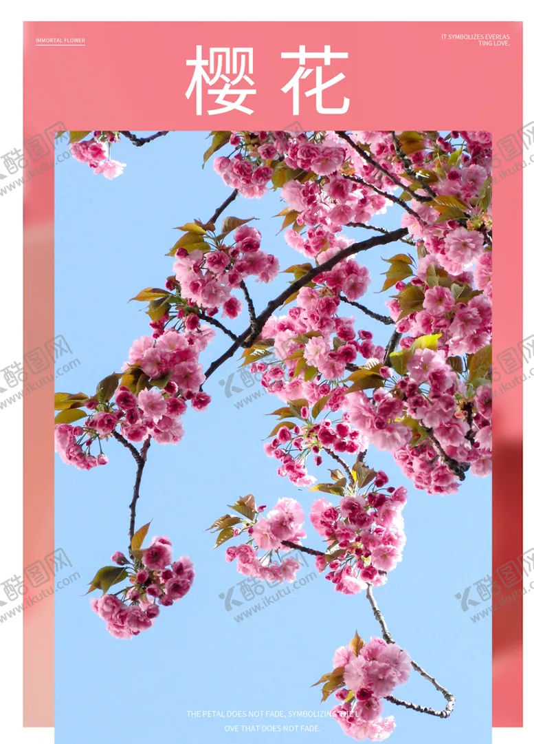编号：12365809281003527352【酷图网】源文件下载-樱花