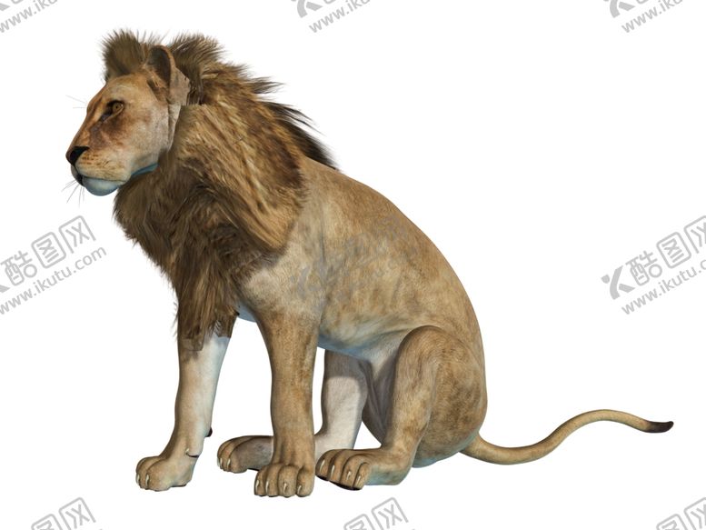编号：14034009242225391186【酷图网】源文件下载-狮子
