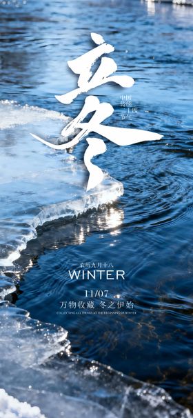 中国传统二十四节气立冬海报