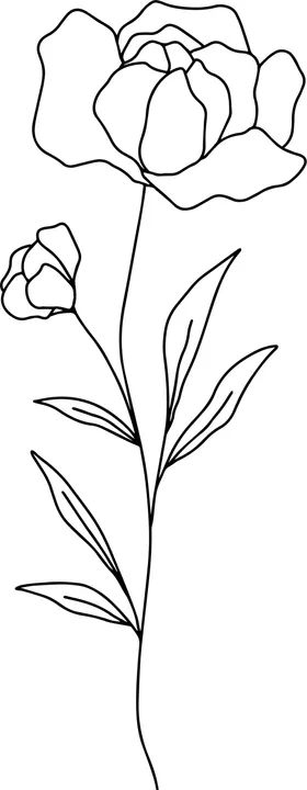 手绘花藤花纹卉边框彩边艺插