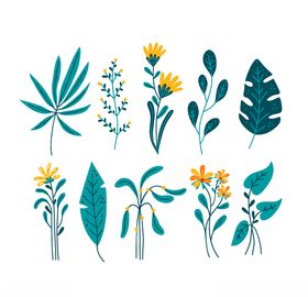 花手绘
