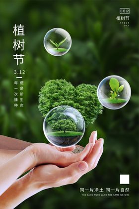 312植树节