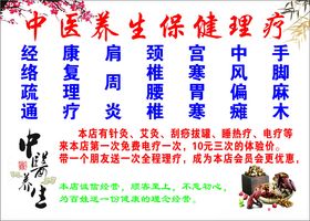 中医养生保健理疗服务展示