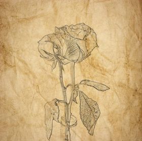 素描效果