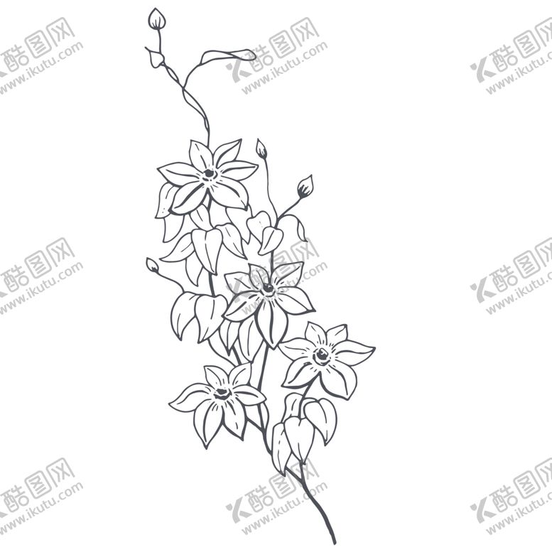 编号：66040109280658069624【酷图网】源文件下载-手绘植物