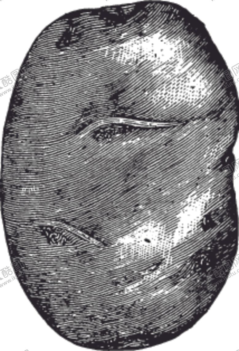 编号：42488710050517406708【酷图网】源文件下载-素描手绘蔬菜