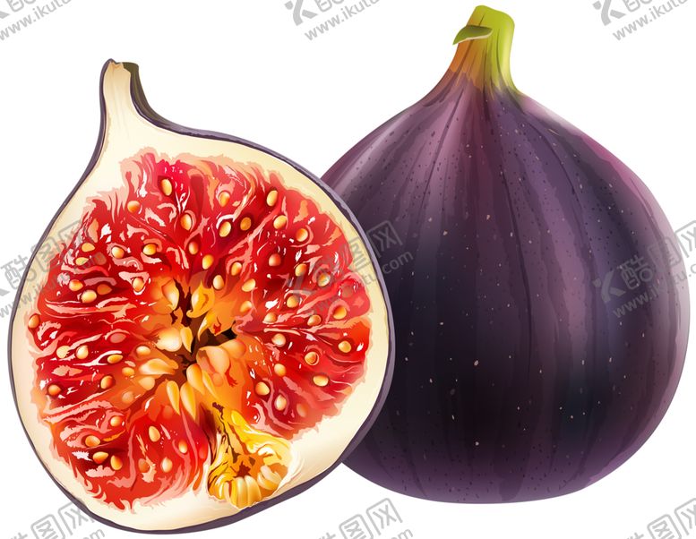 编号：58289609210045525859【酷图网】源文件下载-水果