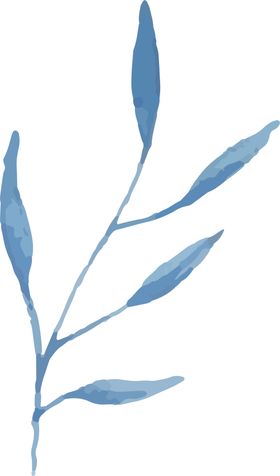 小清新背景