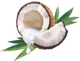 椰子