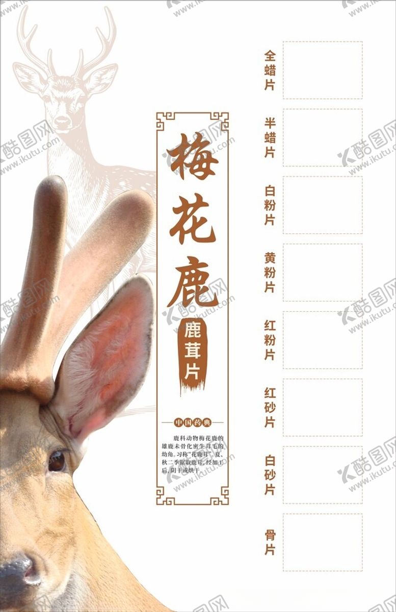 编号：82361204271336306513【酷图网】源文件下载-梅花鹿