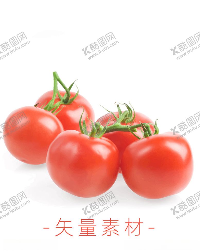 编号：21385110072244238615【酷图网】源文件下载-番茄西红柿