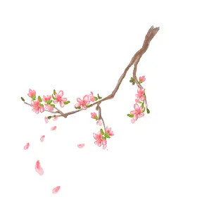 手绘粉色桃花免扣素材图片摄影油画林