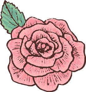 鲜花素材百合矢车菊卉