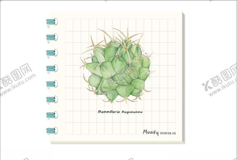 编号：35795909252150177434【酷图网】源文件下载-墨西哥枕头仙人掌植物图鉴