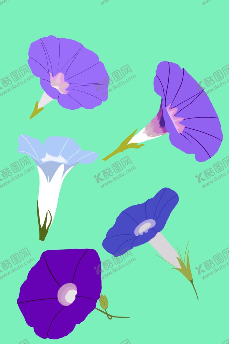 编号：56675204140756517183【酷图网】源文件下载-牵牛花