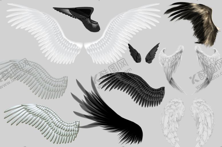 编号：33655209291243362363【酷图网】源文件下载-翅膀
