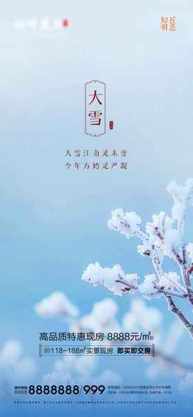 大雪节气海报
