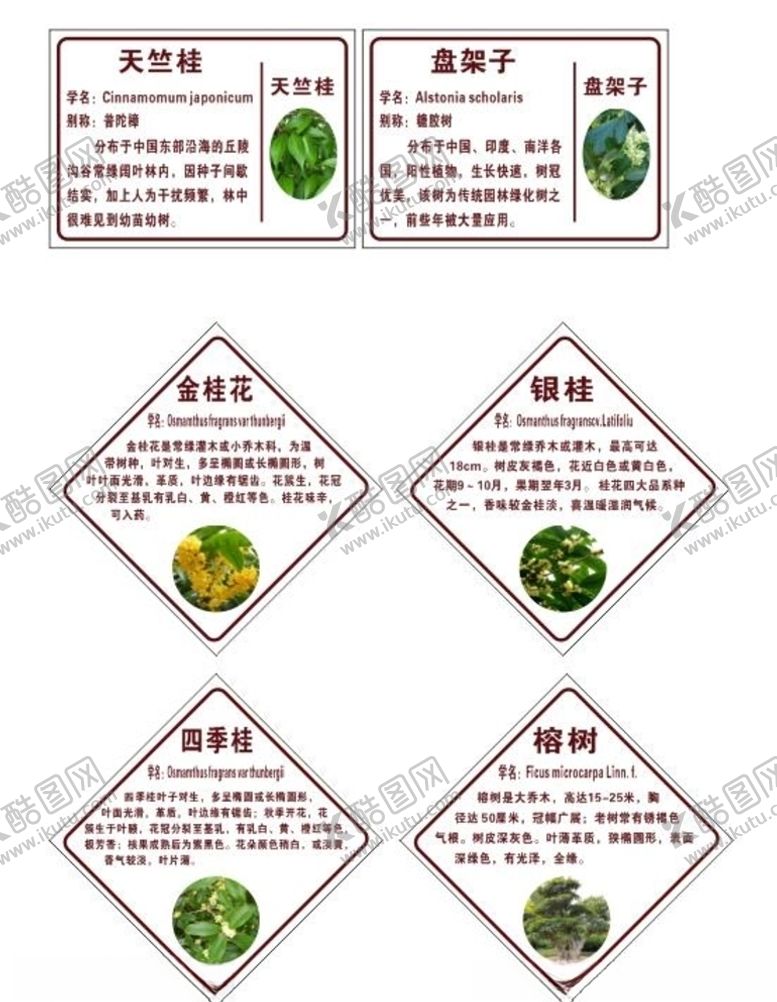 编号：79005504261238021164【酷图网】源文件下载-树名称牌