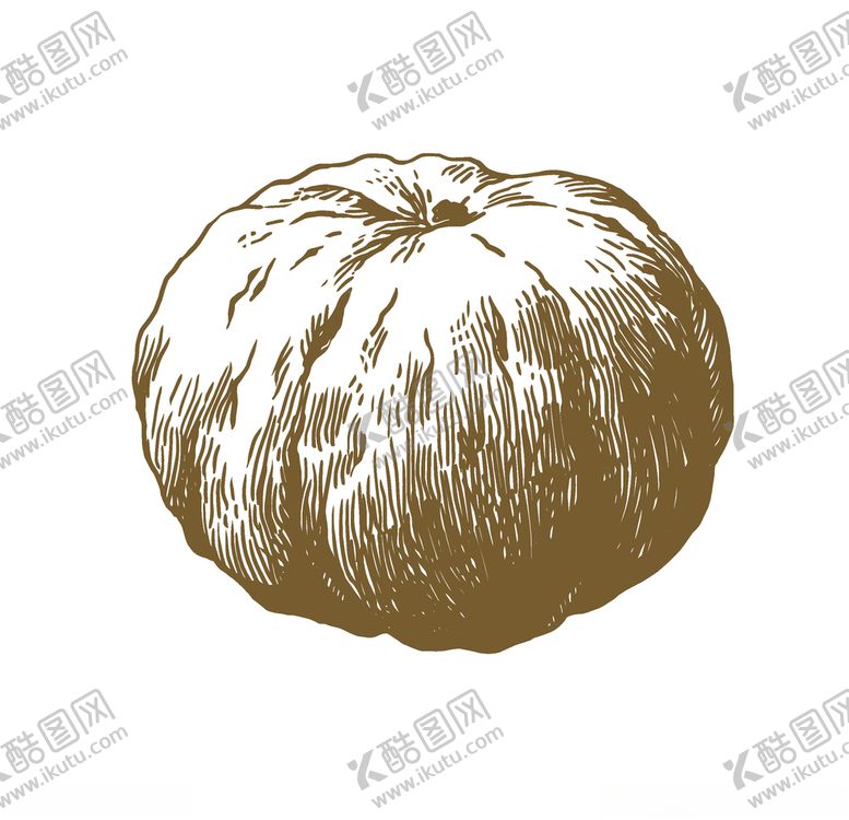 编号：64158310190346126054【酷图网】源文件下载-蔬菜