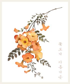 手绘花卉图片
