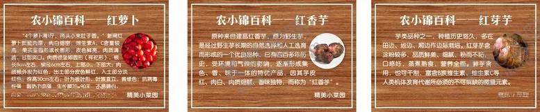 编号：69634801251725154362【酷图网】源文件下载-农产品百科