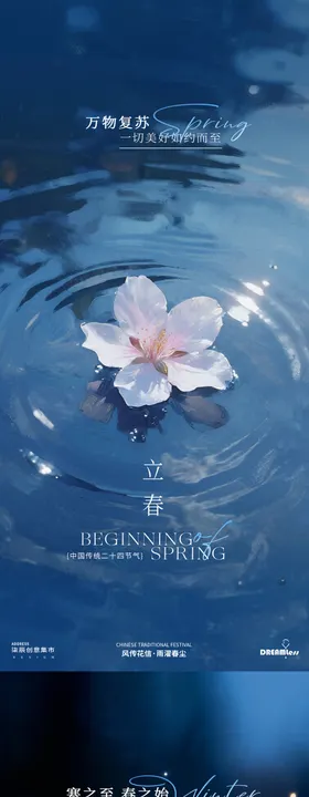 地产大寒立春意境海报