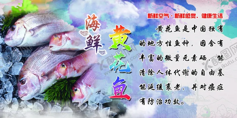 编号：92154907081033371733【酷图网】源文件下载-海鲜宣传黄花鱼