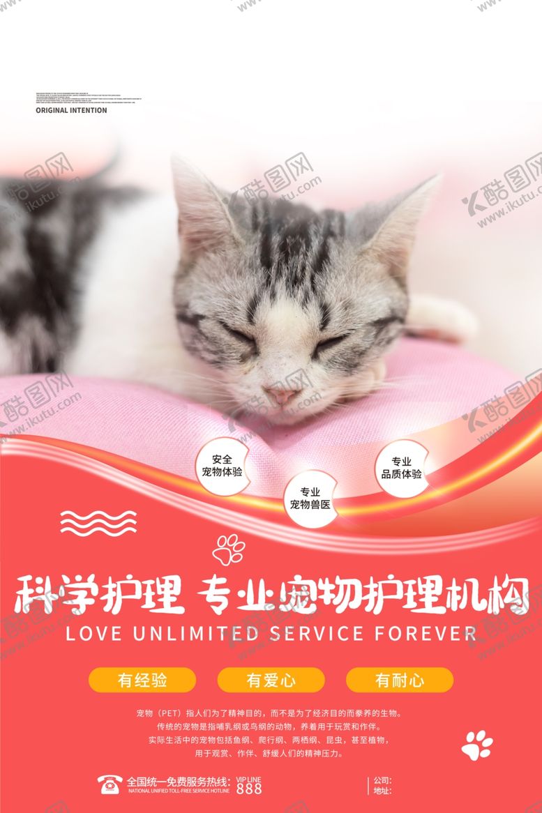 编号：24684501270258246298【酷图网】源文件下载-宠物海报