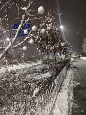 二十四节气之大雪海报