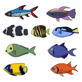 海洋生物插图底世界鱼类