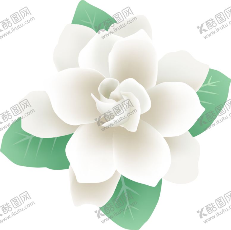 编号：78570806262158319650【酷图网】源文件下载-花免抠图PNG