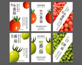 小番茄海报