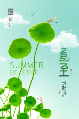 唯美简约国潮荷叶夏至节气海报