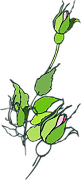 绿色植物装修沙发背景墙免扣