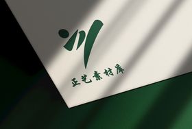 logo样机